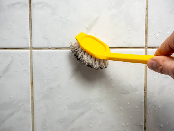 Professional Mold Removal in New Prague, MN